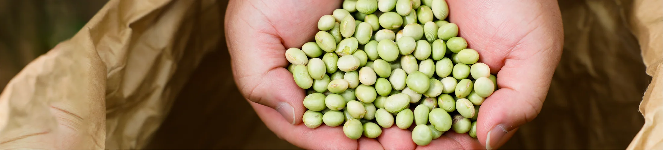 つながるこだわる